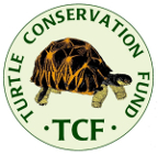 Turtle Conservation Fund