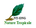 Nature Tropicale